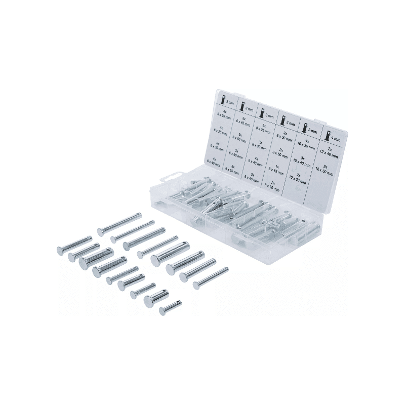 Set sornikov 60-delni
