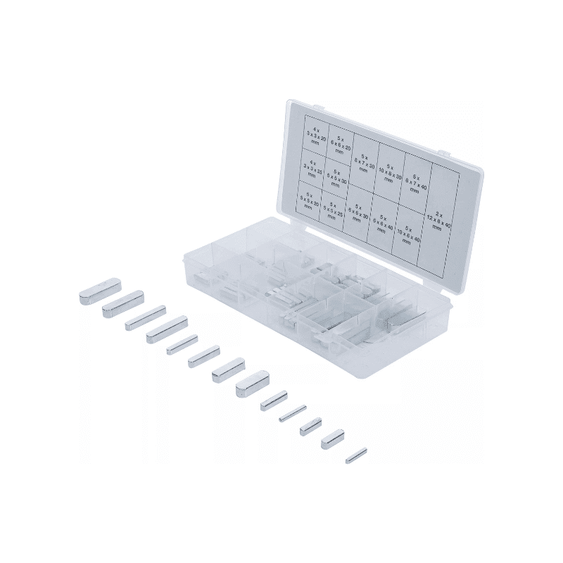 Set zagozd 60-delni