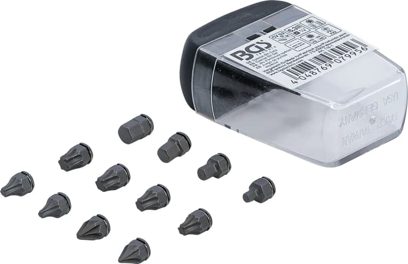 Set posebnih bitov, pogon 6.3 mm (1/4"), za BGS 115