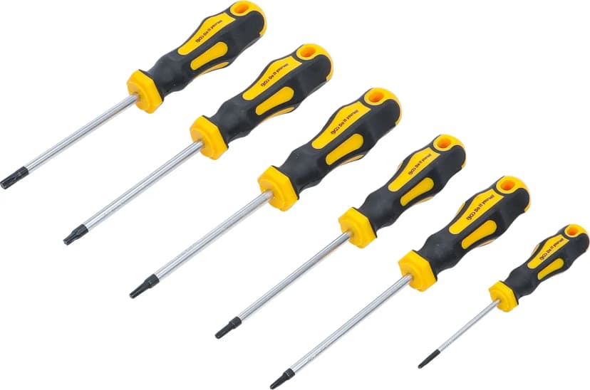 Set izvijačev, T-profil (za Torx) T10 - T30, 6-delni