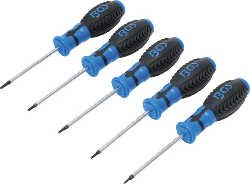 Set izvijačev, T-profil z izvrtino (za Torx), T6 - T10, 5-delni