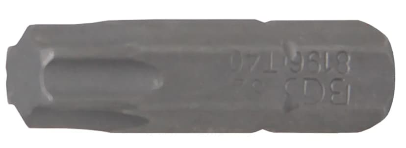 Bit, dolžina 25 mm, pogon 6.3 mm (1/4"), T-profil (za Torx) T40