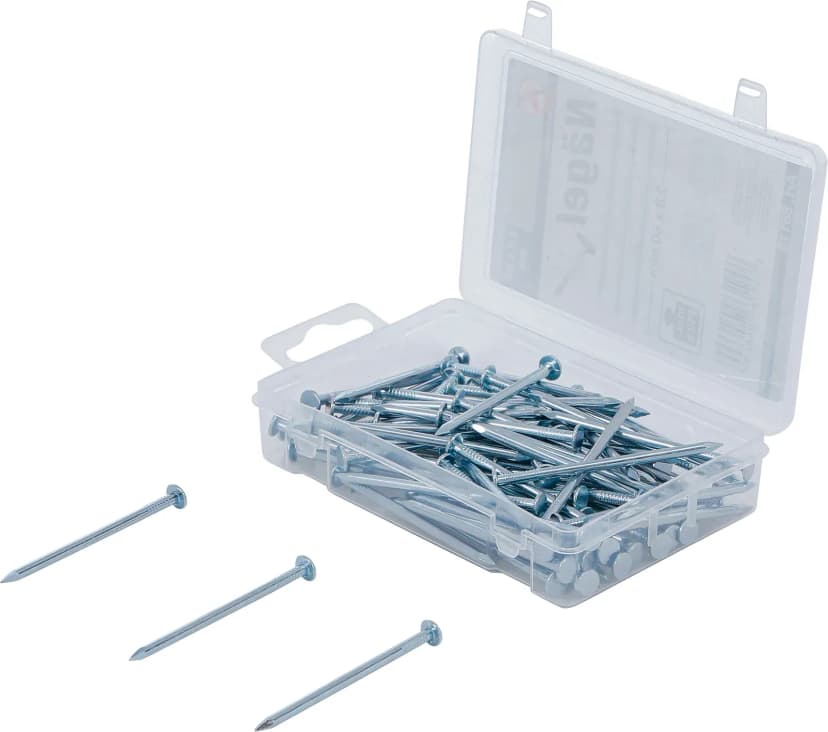 Set žebljev, 250 g, 2.8 x 60 mm