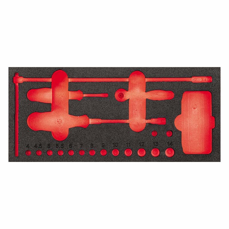 Prazen modul iz dvobarvne pene USAG 519 M 273V